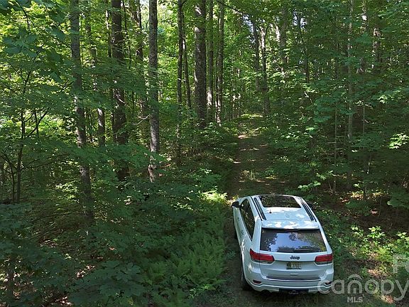 3rd image of 454 Forest Brook Dr
