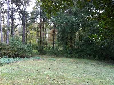2nd image of 319 Dogwood Ln