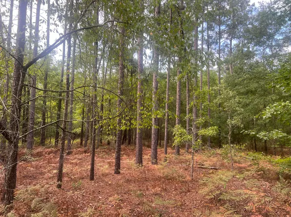 000 Scuffletown Rd Road, Twin City, GA 30471