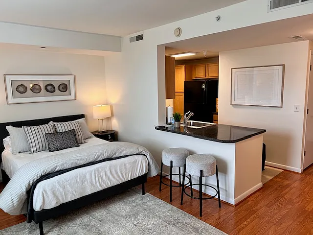 350 G St SW #N626 — Photo 4