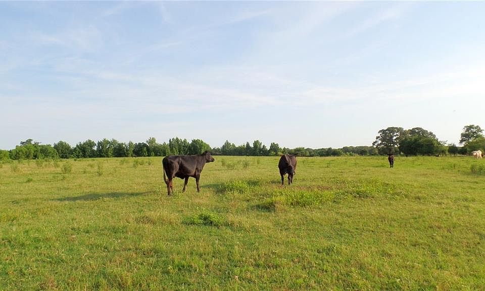 1st image of 289 County Road 3147