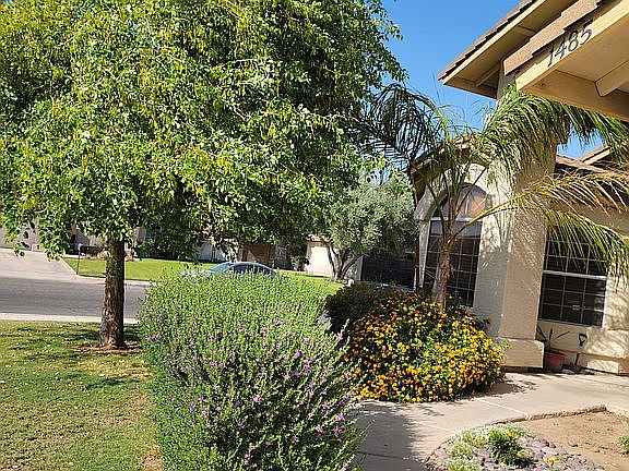Front walkway