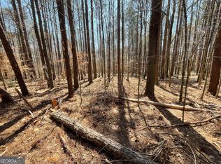 0 Joe Cook Rd #4, Franklin, GA 30217