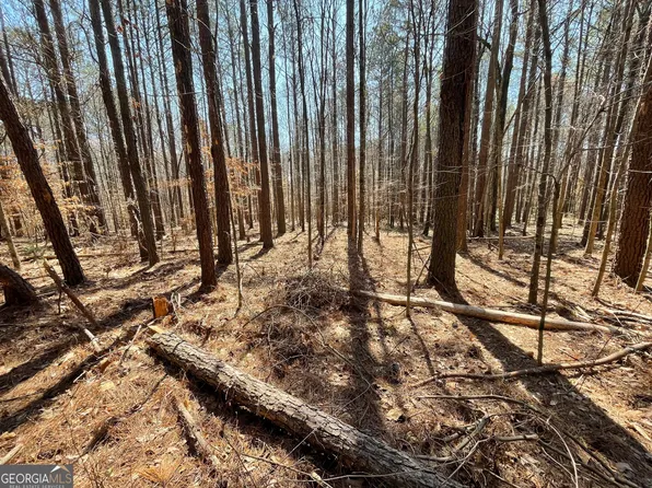 0 Joe Cook Rd #4, Franklin, GA 30217