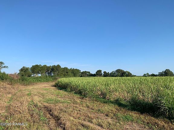 4th image of Dalton Rd