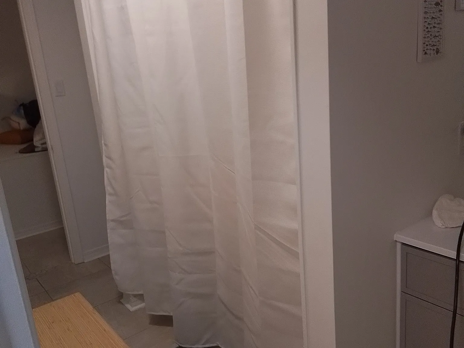 3 bed, 1461 sqft, $500 — Photo 4