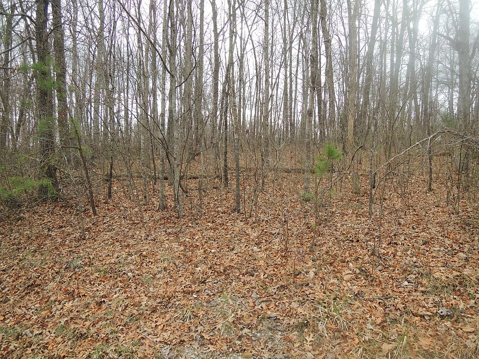 2nd image of James George Rd
