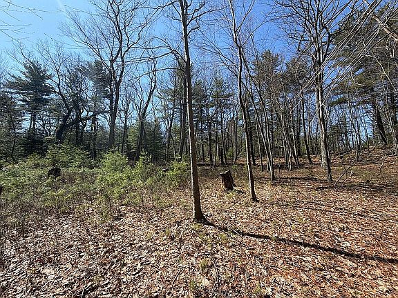 2nd image of 0 Manns Ct