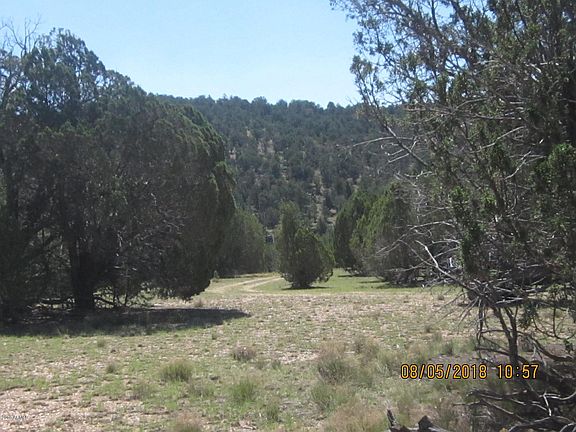 4th image of 155 Acres Peach Springs -- #-