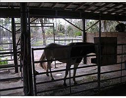 1st image of 2310 Deer Run Blvd