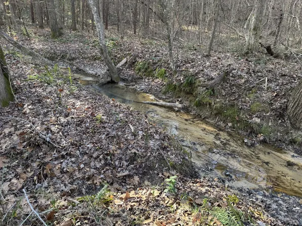 0 Forrest Hill Rd Lot 5, Bolivar, TN 38008