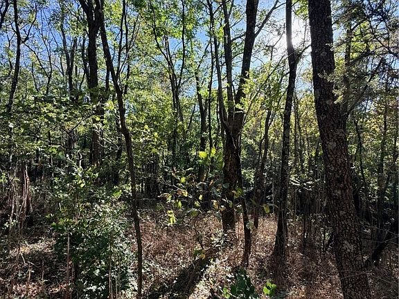 4th image of County Road 517 #2-3