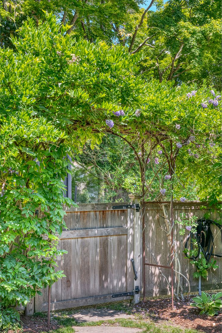  Wisteria entryway