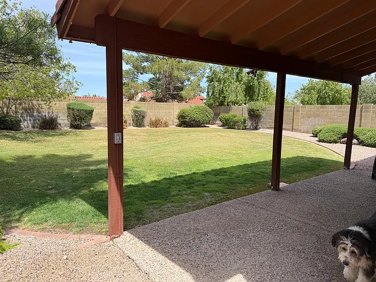 Covered patio (dog not included :))