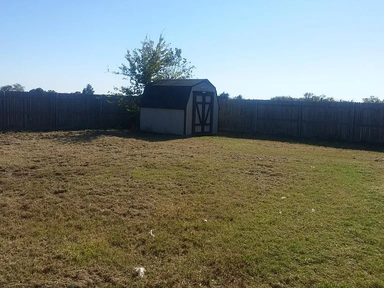 back yard & storage shed