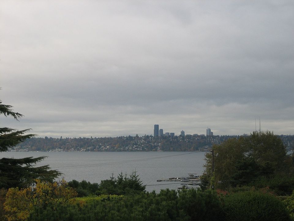 Medina Heights View