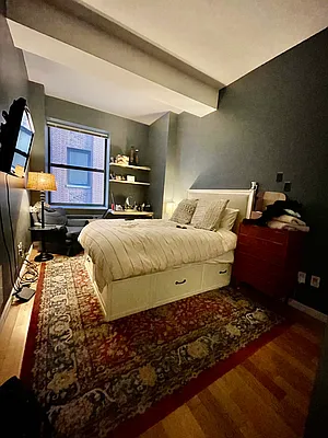 Rented by NY Living Solutions | media 3