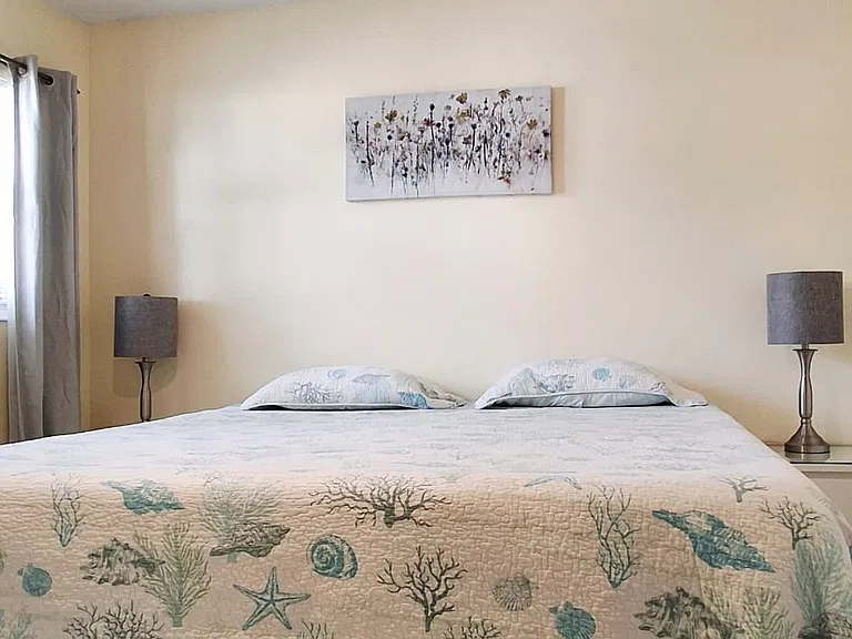 bedroom with king size mattress