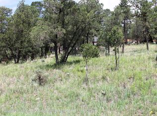 1111 Mechem Dr, Ruidoso, NM 88345