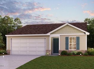 203 Hallie Ln, Macon, GA 31211
