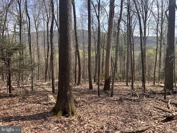 0 Route 225, Shamokin, PA 17872