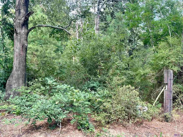 Starns Rd, Independence, LA 70443