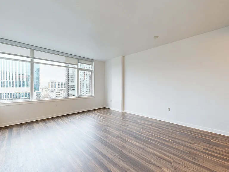 Apartment living room with wood-style flooring.