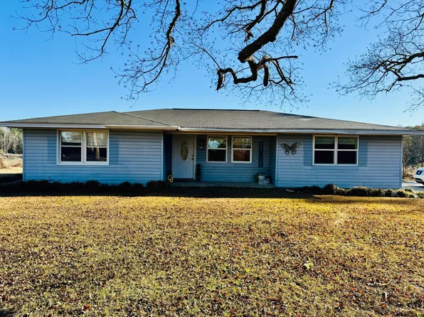 203 Riverview Dr, Elba, AL 36323