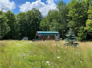 2473 Isaman Hill Rd, Swain, NY 14884