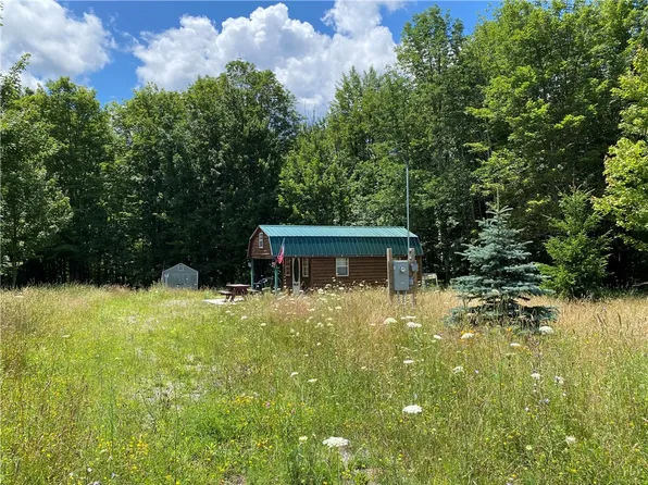 2473 Isaman Hill Rd, Swain, NY 14884