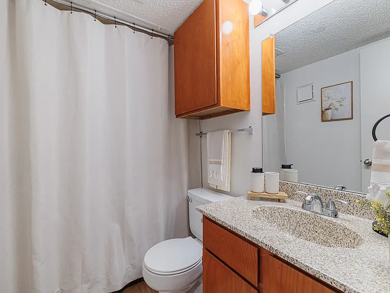 Model Unit Bathroom 02-01