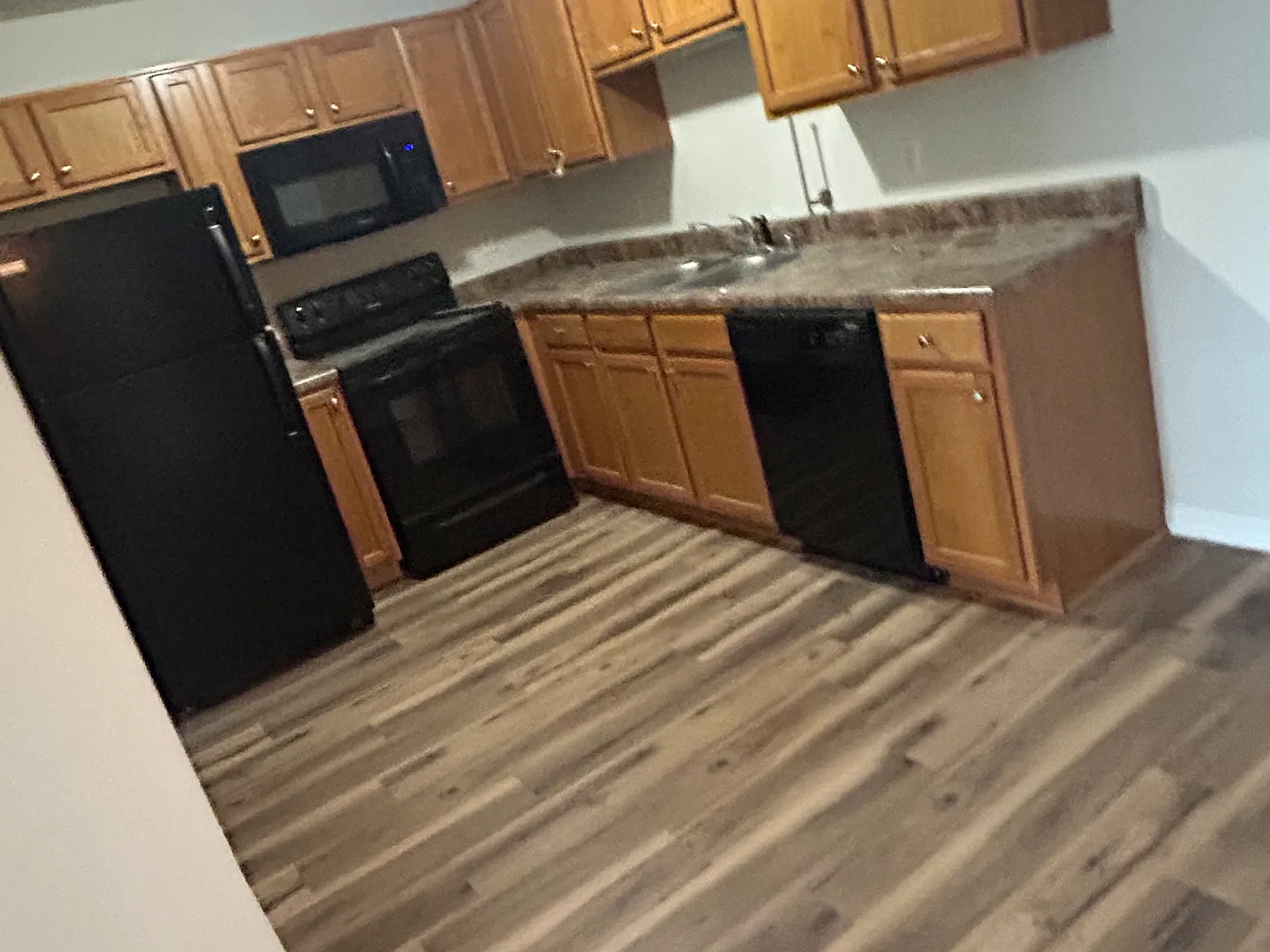 1 bed, $800 — Photo 2