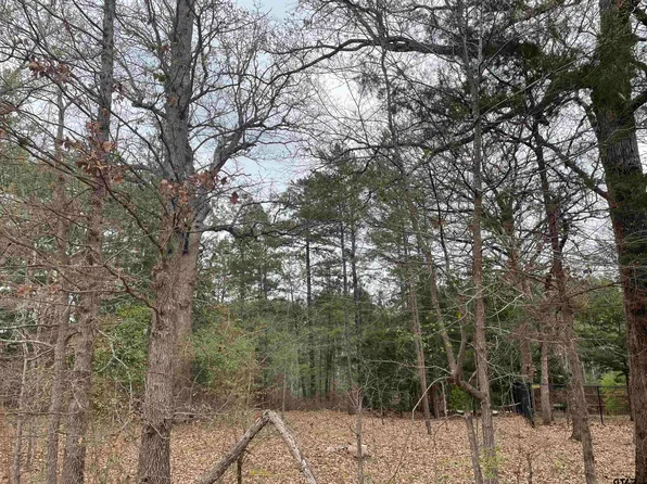 0 Windjammer Pl, Flint, TX 75762