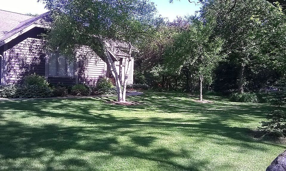 Front yard as you drive in