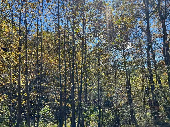 Tusquittee Rd, Hayesville, NC 28904