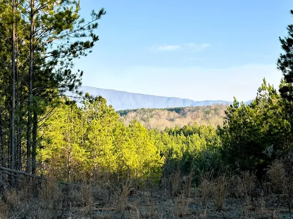 0 Freedom Way, Calhoun, TN 37309