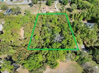 3407 Robinson St LOT 34, Zellwood, FL 32798