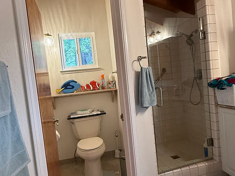 Master bathroom