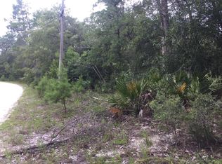 151 Lakeside Blvd, Pomona Park, FL 32181