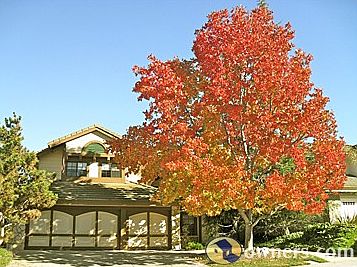 walk to award winning Carmel Valley schools