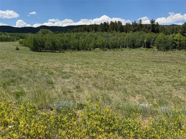 728 Stacker Drive LOT 843, Hartsel, CO 80449