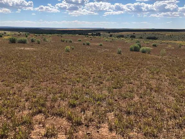 663 Crystal Acres, Hesperus, CO 81326