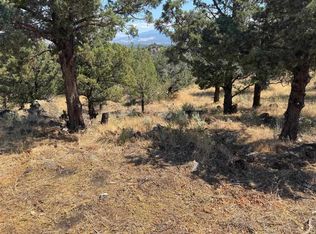 2 Blackhawk Dr Lot 39, Weed, CA 96094