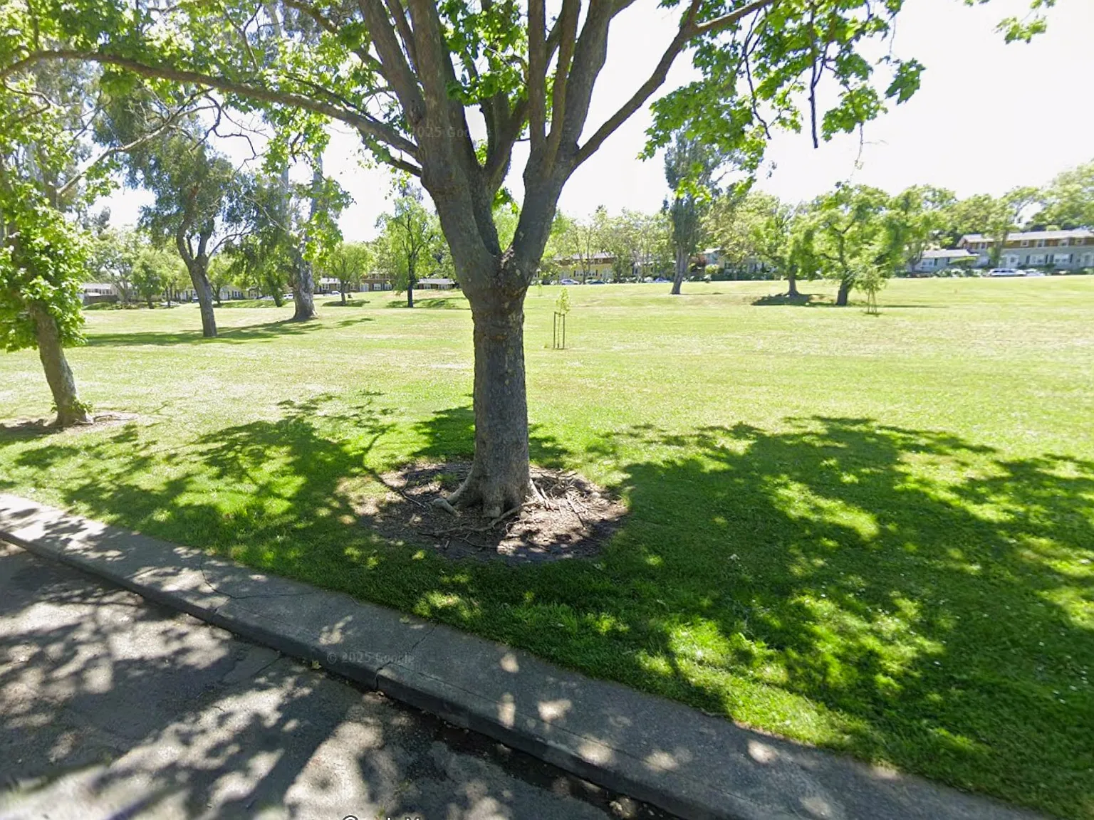 3 bed, 988 sqft, $2,000 — Photo 2