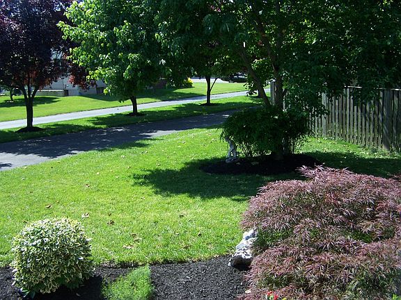 View of the front lawn