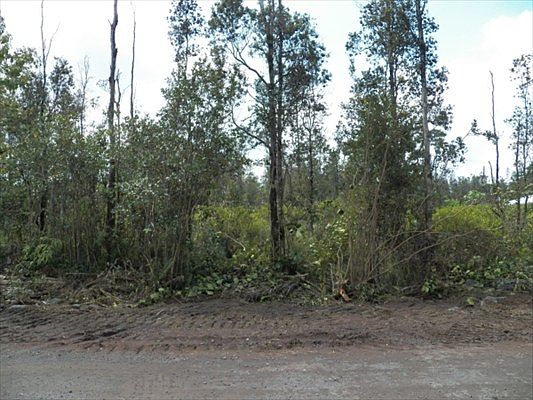 4th image of 25th Ave Lot 78