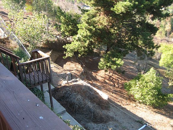 Lower lot w/fruit trees