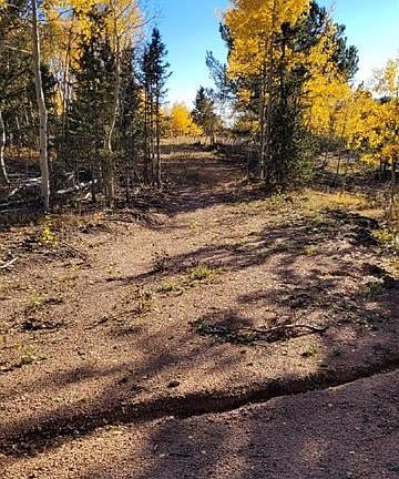 2nd image of 1558 County Road 61