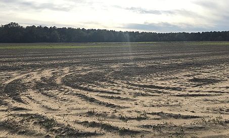 2nd image of 264 E County Road 16