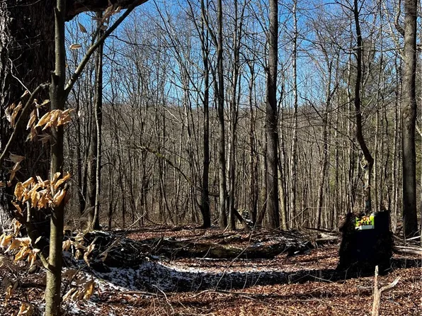 6 Prentice Gorge Rd #6, Unadilla, NY 13849
